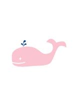 whale pink