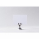 White Escort Cards