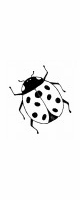 white ladybug