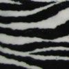 zebra (Minki)