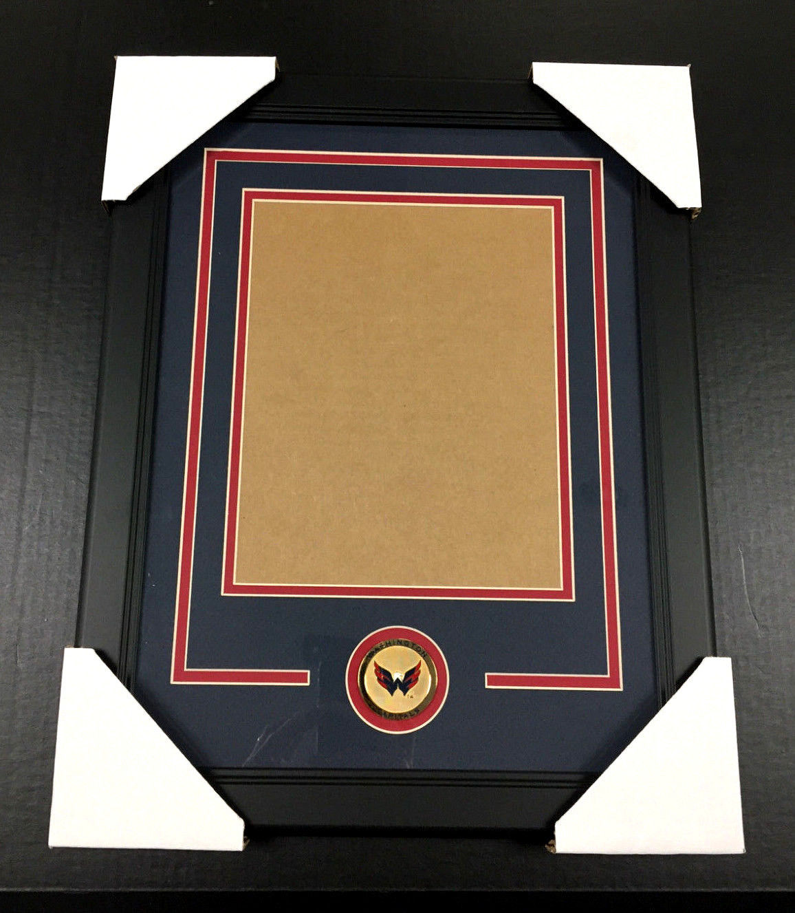WASHINGTON CAPITALS Medallion Frame Kit 8x10 Photo Double Mat VERTICAL