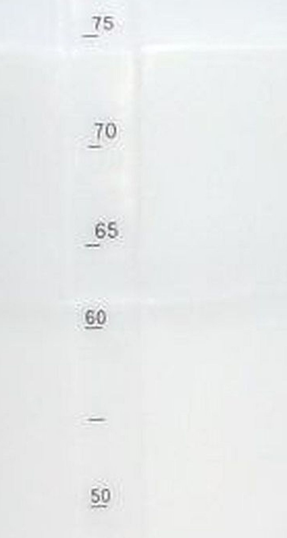 75 Gallon Storage Tanks | Store Liquids, Chemicals, or Drinking Water