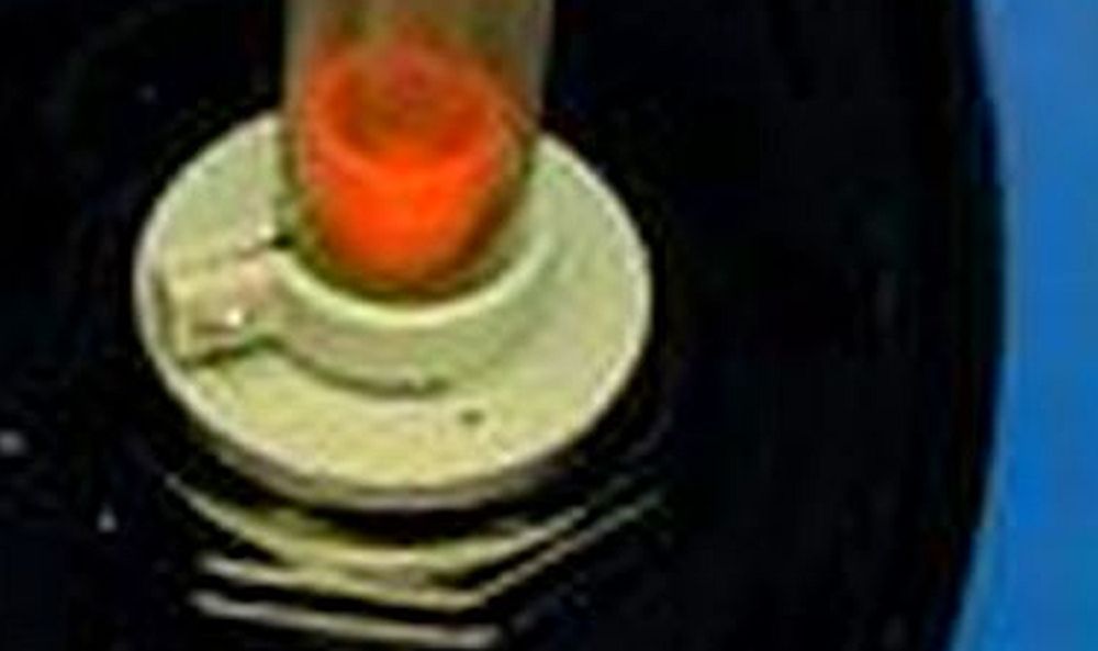 Nondrip Spout Beckson Food Grade Hand Drum Pump