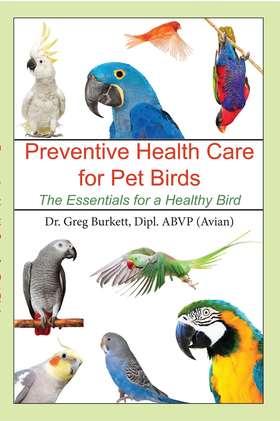 Preventive Health Care for Birds paperback