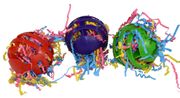 SBC Waffle Ball Stuffers (3)