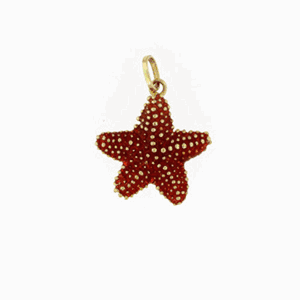 14k Gold Bumpy Starfish Large Enameled Pendant - 216 E