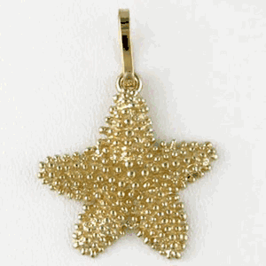 14k Gold Bumpy Starfish Large Pendant - 216