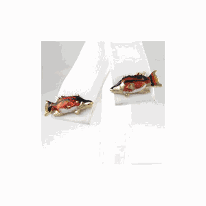 14k Gold Hogfish Enamel Earrings - 640 E