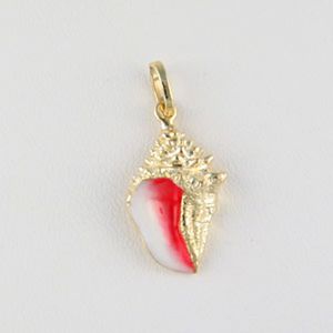 14k Gold Medium Conch Hollow Pendant - 294 HE