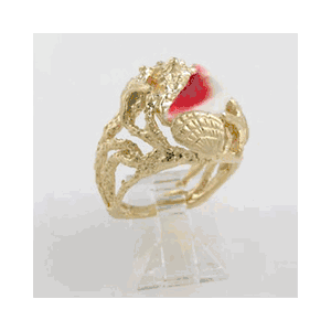 14k Gold Reef with Conch Ring - 736