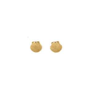 14k Gold Scallop Large Earrings - 632