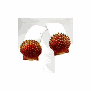 14k Gold Scallop Large Enamel Earrings - 632 E