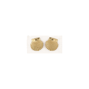 14k Gold Scallop Medium Earrings - 631