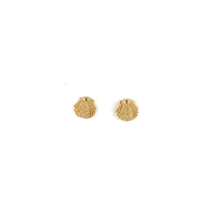 14k Gold Scallop Small Earrings - 630