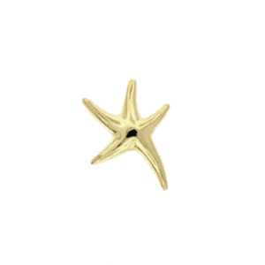 14k Gold Tiny Spiderstar Pendant - 228