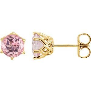 14K Yellow Baby Pink Topaz Round Earrings - 28808:70003:P