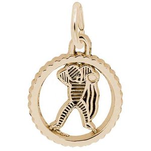 Aquarius Charm Gold Plated - 10-4541-0-GP