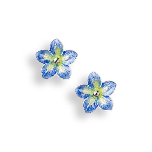 Blue Forget-Me-Not Stud Earrings Sterling Silver - NE0372A