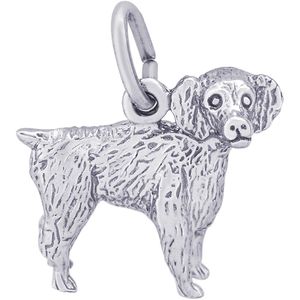 Boykin Spaniel Charm - 14K White Gold - 10-8476-wg