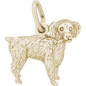 Boykin Spaniel Charm - Gold Plated - 10-8476-gp