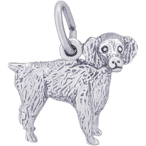 Boykin Spaniel Charm - Sterling Silver - 10-8476-s