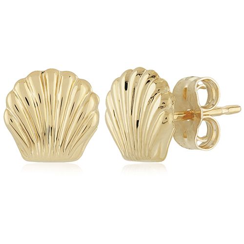 Sea Shell Stud Earrings - 14K Yellow Gold