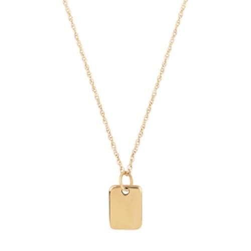 Carla 14kg Mini Dog Tag Pendant 18 Inch Pendants/ Charms