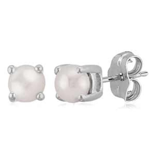 Carla 14kwg 4mm Pearl Earrings