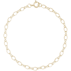 Rembrandt Charm Bracelet - 7 Inch - 10K Gold - 20-0103-7