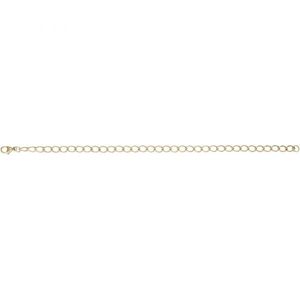 Charm Bracelet - 7 Inch - Gold Plated - 20-106-7-gp
