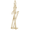 Cross Country Skis Charm 14K Gold - 10-7930