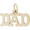 Dad Charm Gold Plated - 10-2373