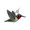 Hummingbird Charm  - Painted- Sterling Silver-10-1144-1-SS