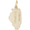 Illinois Charm - Gold Plated
