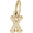 Initial X Charm 14K Gold - 10-5420-24