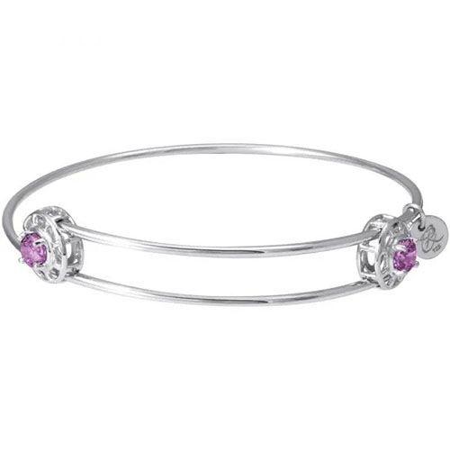 Insightful Bangle - February Charm Bracelet  - Sterling Silver  - 20-517-2-SS