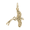 Jamaica Longtail Bird Charm - 10K Gold - 10-2138-10kg