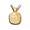 Pacific Urns Necklace For Ashes Haida Orca 10K In Yellow Gold