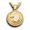 Pacific Urns Necklace For Ashes Round Eagle 14K In Yellow Gold