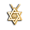 Pacific Urns Necklace For Ashes Star of David 10K In Yellow Gold