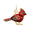 Painted Cardinal Charm - 10K Yellow Gold - 10-1012-1-10k