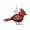 Painted Cardinal Charm - 14K White Gold - 10-1012-1-14kw