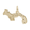 Panama Map with Border Charm - 10K Gold - 10-3226-10kg