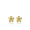Plumeria Stud Earrings 11mm, Hawaiian Inspired  Earrings, FPE-31111