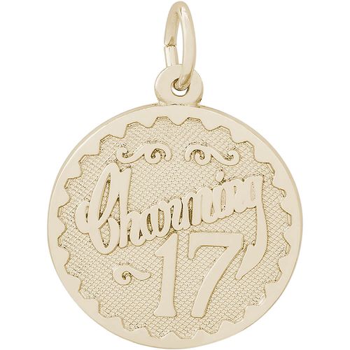 Charming 17 Charm 10K Gold - 10-4257