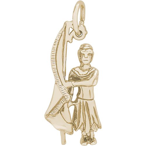 Color Guard Charm 14K Gold - 10-6345