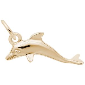 Dolphin Charm 10K Gold - 10-5585