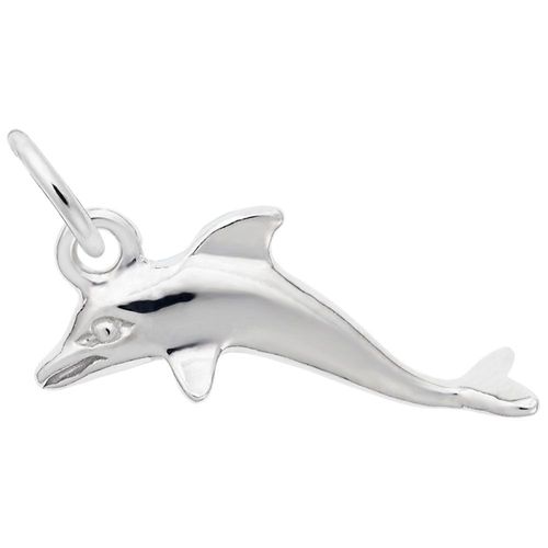 Dolphin Charm Silver - 10-5585