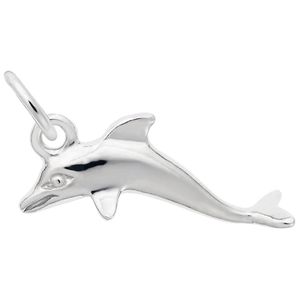 Dolphin Charm Silver - 10-5585