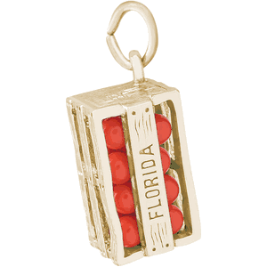 Florida Oranges Charm Gold Plated - 10-4960